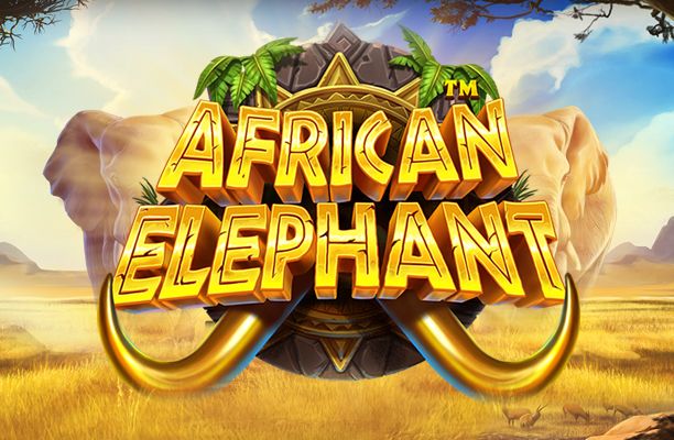 African Elephant - Pragmatic Play